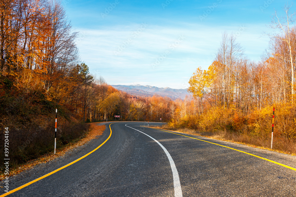road in autumn forest road in autumn forest