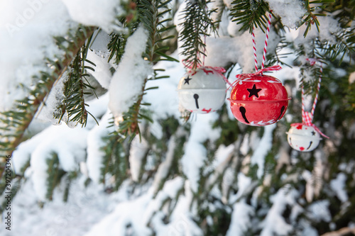 Red and white baubles under a Christmas tree branch in the snow, tiny decor