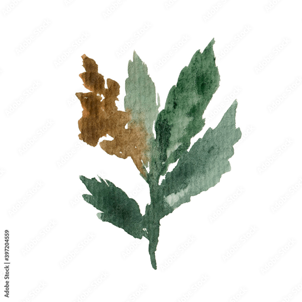 Fototapeta premium Hand drawn watercolor cannabis branch isolated on white background. Marijuana, hemp.
