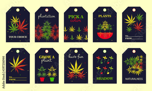 Special tag designs with ganja plant. Bright cannabis leaves, roots, bush with text on dark background. Hemp and legal drug concept. Template for greeting labels or invitation card