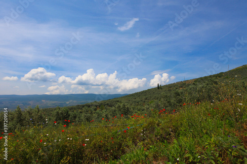 Lake Eber, situated between Cay and Bolvadin districts of Afyon, is the 12th biggest lake of Turkey photo