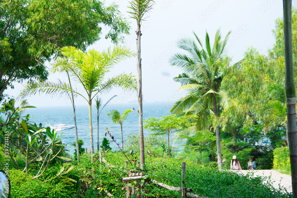 Obraz premium trees on the beach