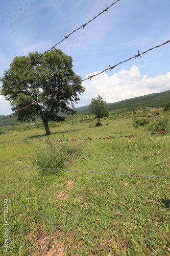 Lake Eber, situated between Cay and Bolvadin districts of Afyon, is the 12th biggest lake of Turkey photo