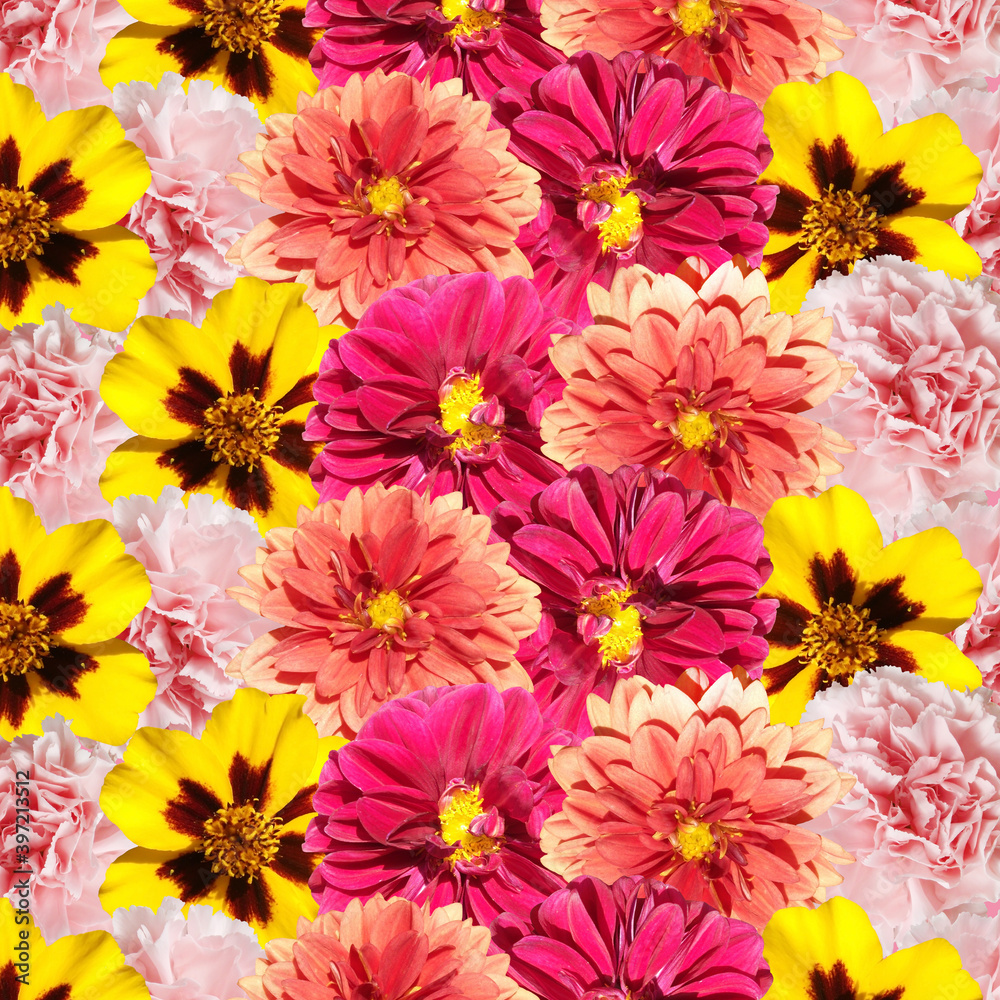 Fototapeta premium Beautiful floral background of dahlias, marigolds and carnations. Isolated