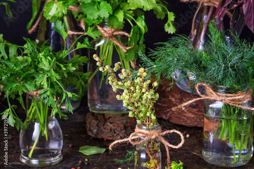 Close-up of bunches of fresh aromatic culinary herbs standing in glass jars on the kitchen table. Ingredients for a healthy diet, vegetarianism.