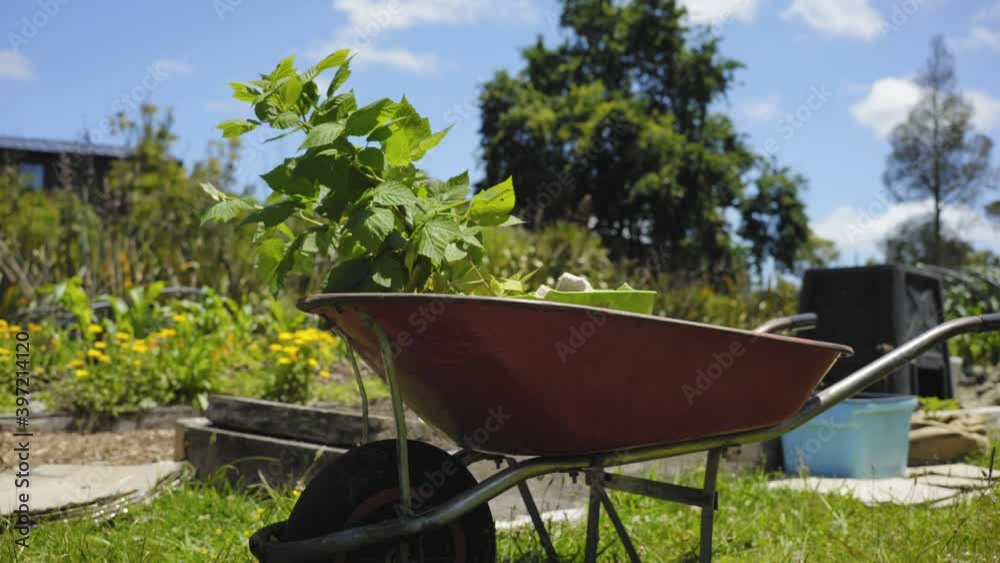 low angle of a trolley with some plants in spring farmland garden