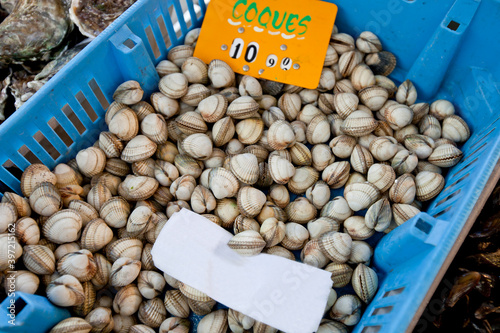 Close-up of shellfish in container at store photo