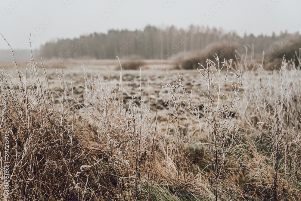 Obraz premium Surowa natura