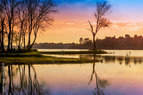 Nice landscape with tree and lake on sunrise or sunset in autumn. morning