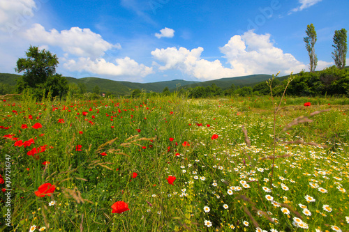 Lake Eber, situated between Cay and Bolvadin districts of Afyon, is the 12th biggest lake of Turkey photo