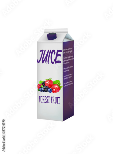 Forest fruits juice pack. vector illustration
