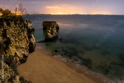 Night beach in, Lagos, Portugal, with aloe on the cliffs. Long exposure.