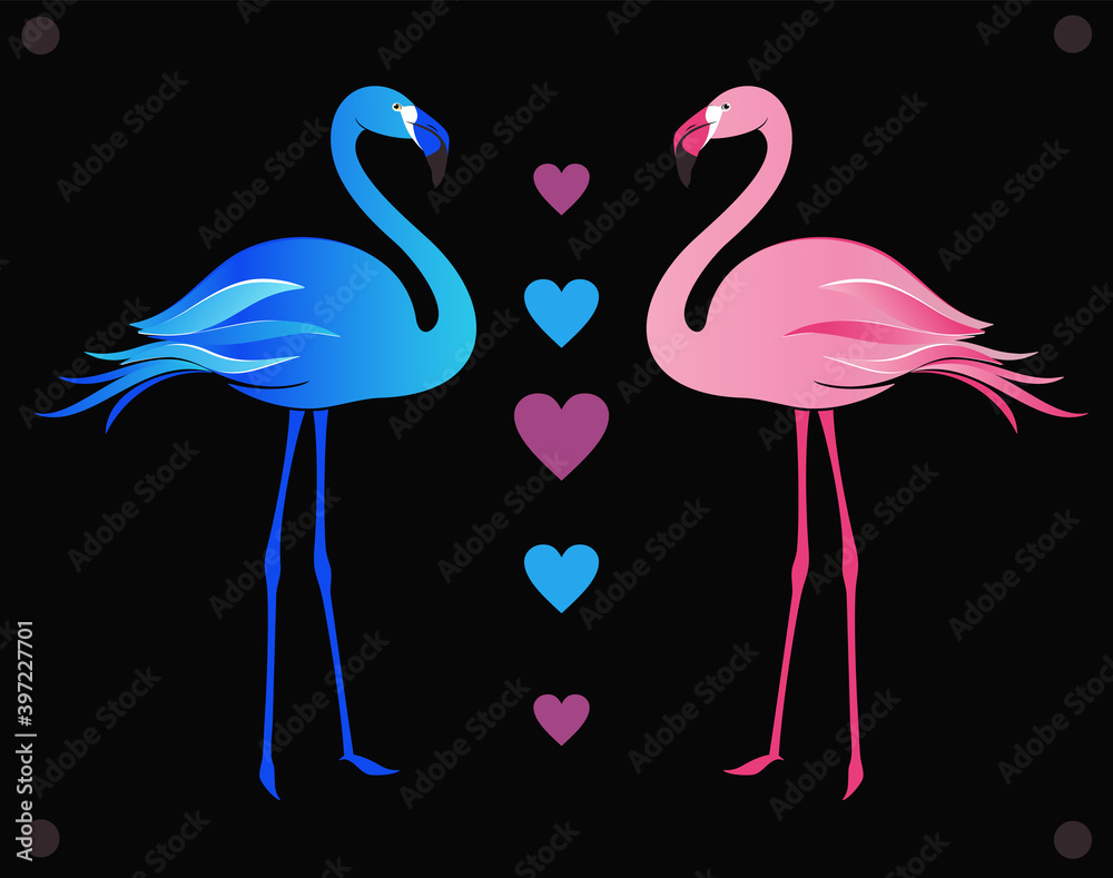 Two flamingos in love