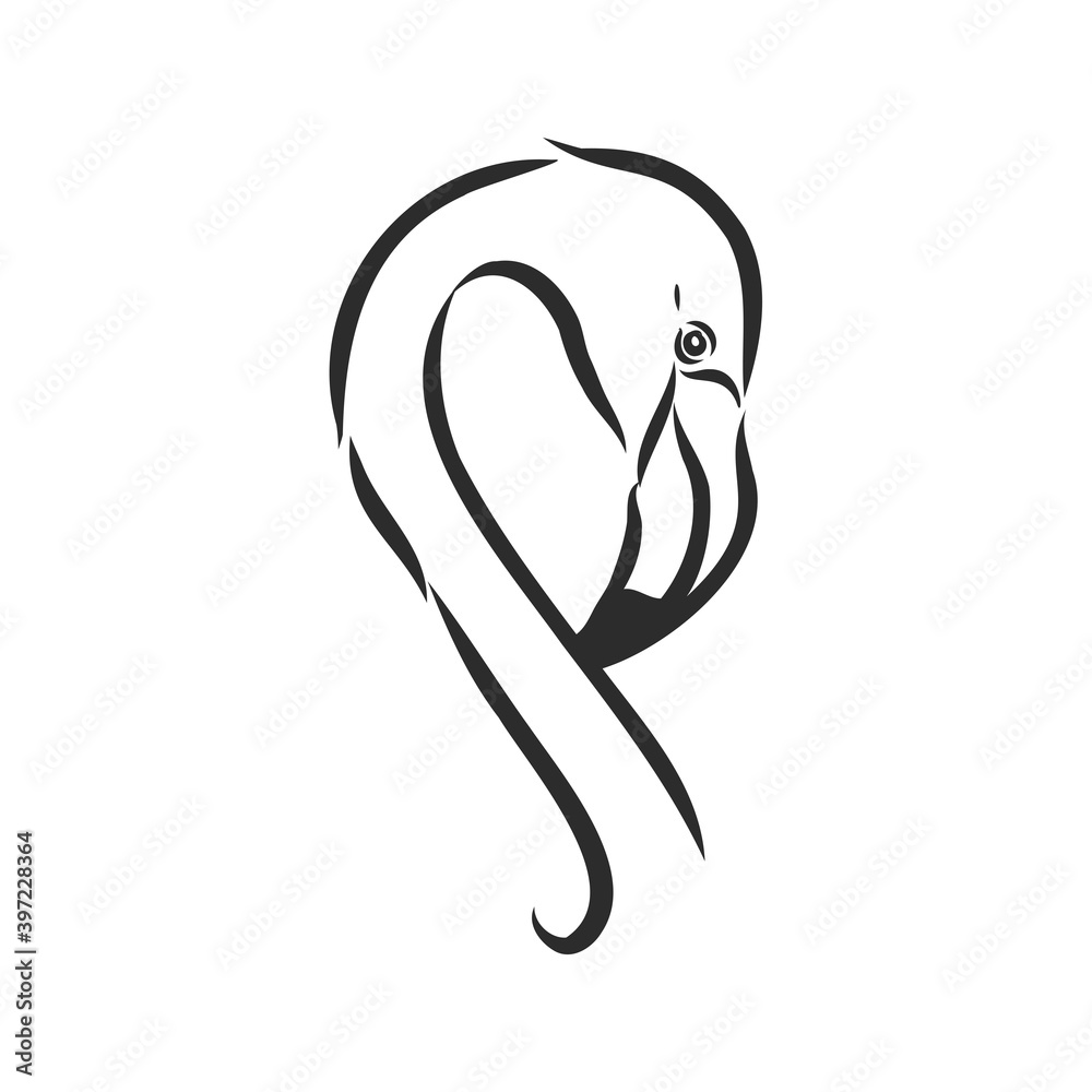 Flamingo sketch vector illustration. Flamingo vector sketch illustration Flamingo sketch vector illustration. Flamingo vector sketch illustration