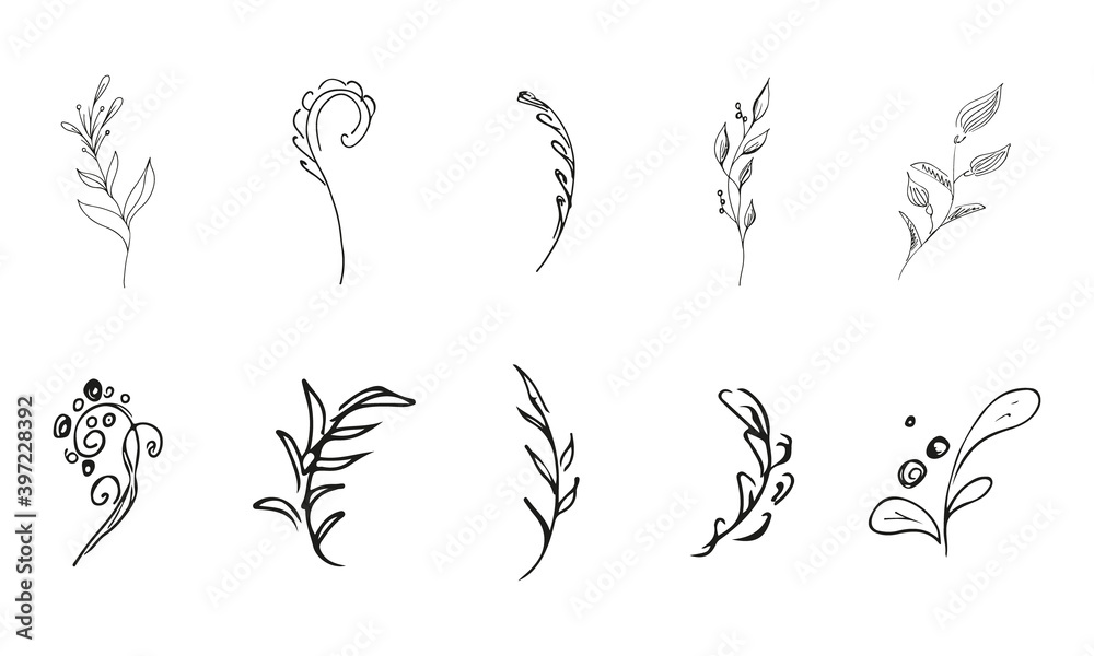 Doodle simple vector collection of 10 hand-drawn floral elements. Big collection of 10 hand-drawn branches. Big floral botanical set. Isolated on white background