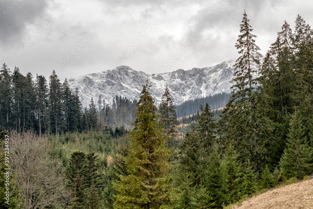 Obraz premium Snowy peaks of Low Tatras mountains, Slovakia
