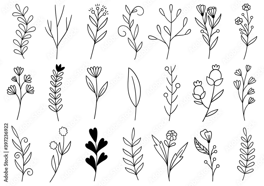 Plakat collection forest fern eucalyptus art foliage natural leaves herbs in line style. Decorative beauty elegant illustration for design hand drawn flower