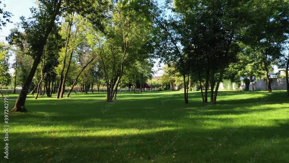 Beautiful green meadow with grass and trees in a public park at sunset from aerial view. Smooth drone flight over lawn. Beautiful green meadow with grass and trees in a public park at sunset from aerial view. Smooth drone flight over lawn.