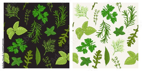 Herbs seamless pattern modern green
