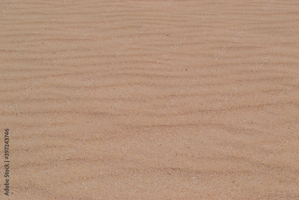 Sand dune Texture Sand dune Texture