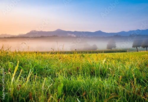 Morgennebel im bayerischen Voralpenland, Bayern, Deutschland photo