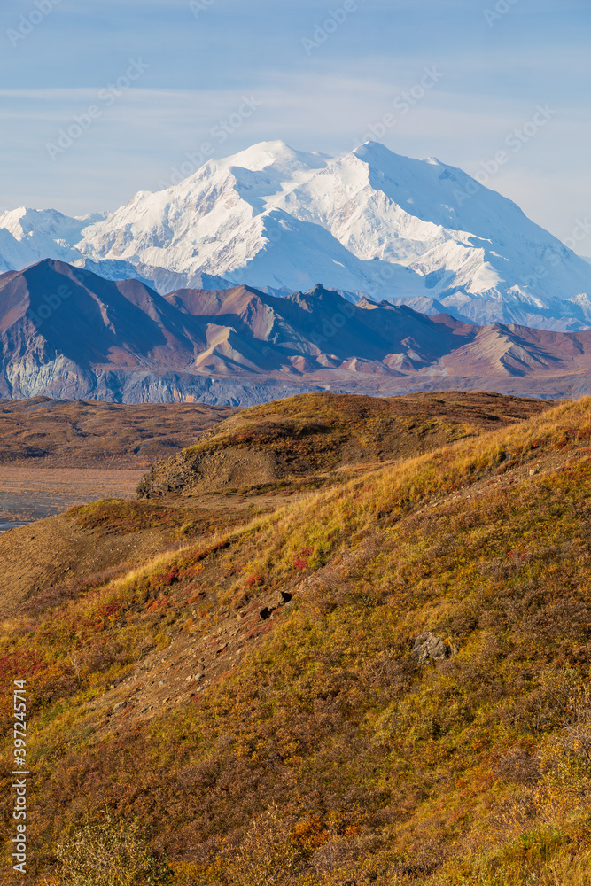 Denali National Park Alaska Scenic Autumn Landscape