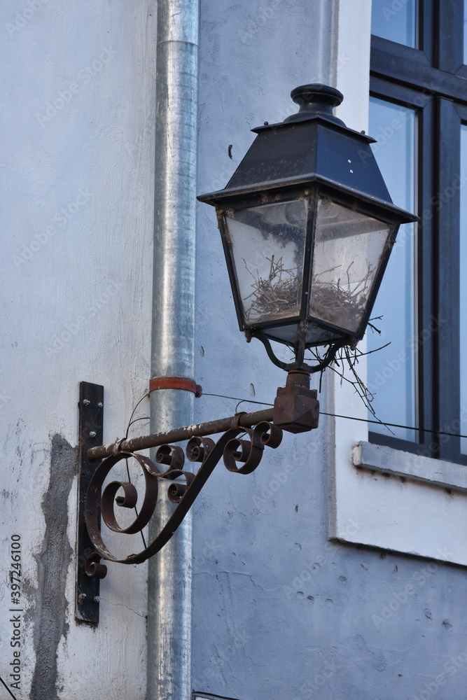 Bird's nest in a lighting lamp in Bistrita, Romania, Nicolae Titulescu street, 2020, December