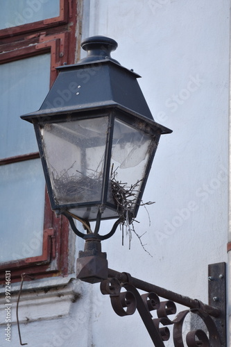 Bird's nest in a lighting lamp in Bistrita, Romania, Nicolae Titulescu street, 2020, December