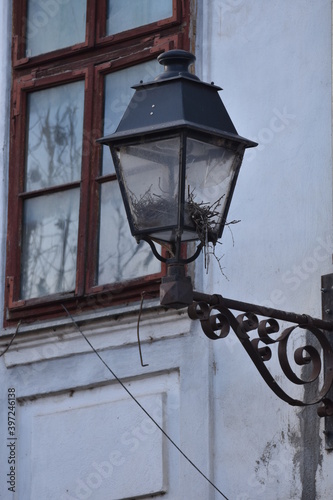 Bird's nest in a lighting lamp in Bistrita, Romania, Nicolae Titulescu street, 2020, December