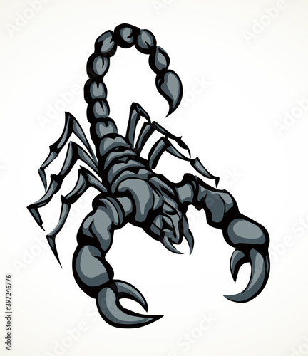 Dangerous insect. Scorpion. Vector drawing