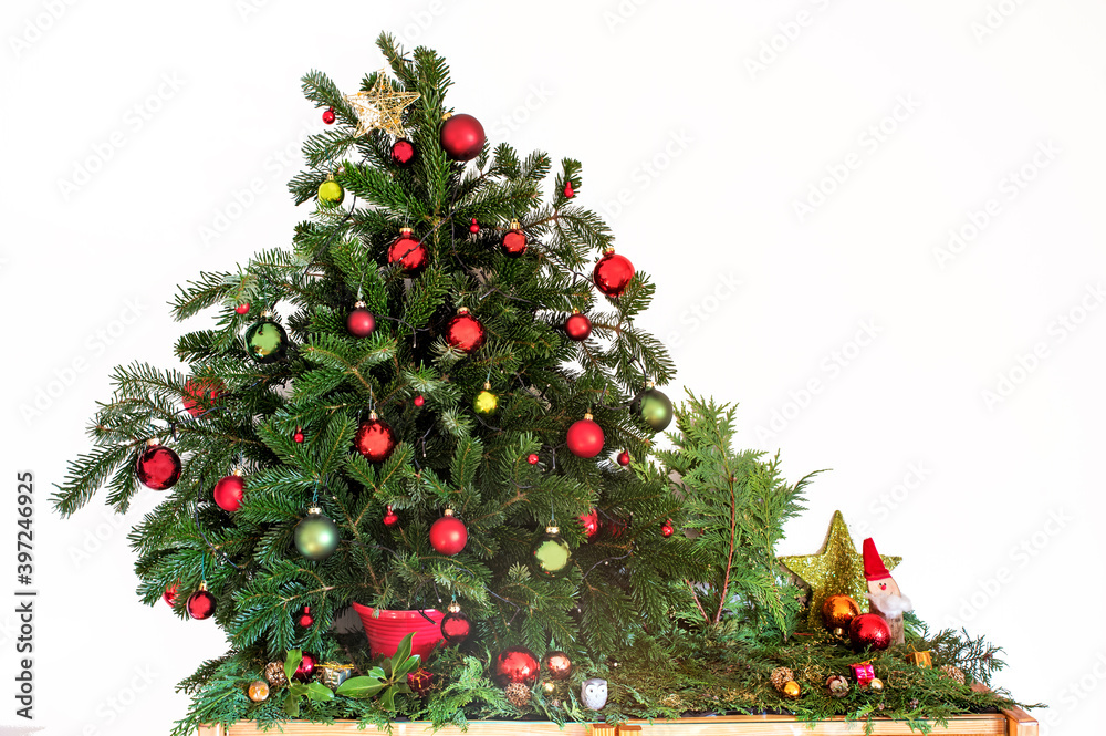 seasonal decoration with christmas baubles red and green, fir branches and santa dwarf.