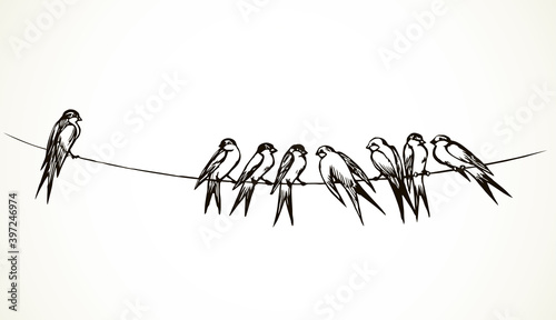 Swallows are sitting on a wire. Vector drawing