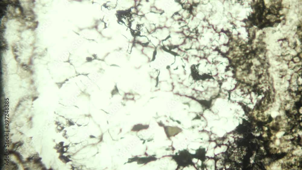 Super 8mm Film Look, Light Leaks, Dirt, Grain, Scratches, Overlays, Vintage Effect, Old Film, Film Burn. Hair, scratches, and flicker, lifted from real 8mm film. Composite this over your footage using