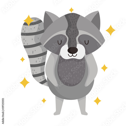 cute raccoon animal with stars in cartoon design