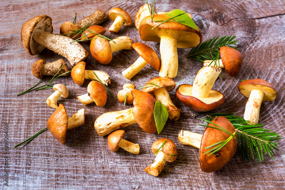 Summer forest mushrooms on the rustic wooden background Summer forest mushrooms on the rustic wooden background