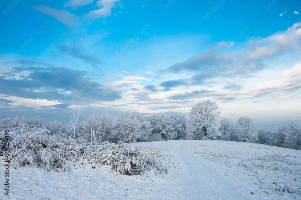 Fototapeta premium Zimowy pejzaż z ośnieżonymi drzewami. Winter landscape with snow-covered trees.