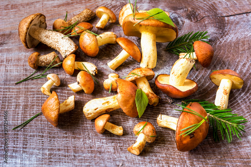 Summer forest mushrooms on the rustic wooden background