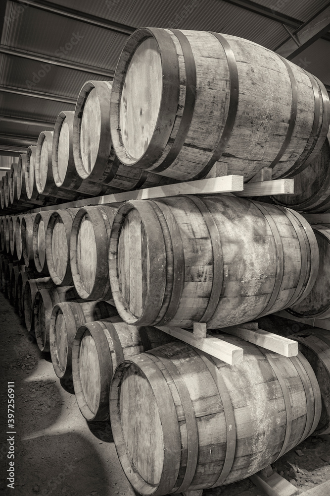 A row of stacks of traditional full whisky barrels, set down to mature, in a large warehouse, black and white