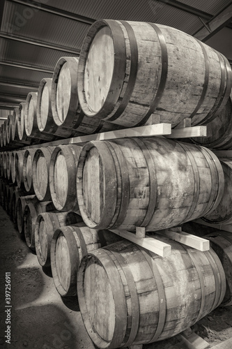 A row of stacks of traditional full whisky barrels  set down to mature  in a large warehouse  black and white