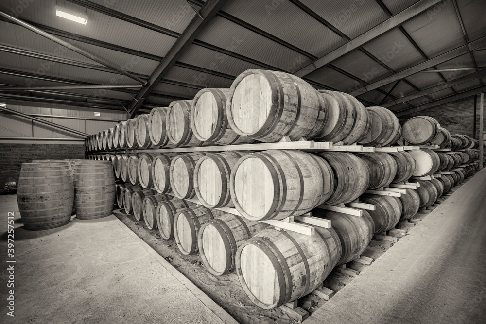 Many rows of traditional full whisky barrels, set down to mature, in a large warehouse facility, with acute perspective