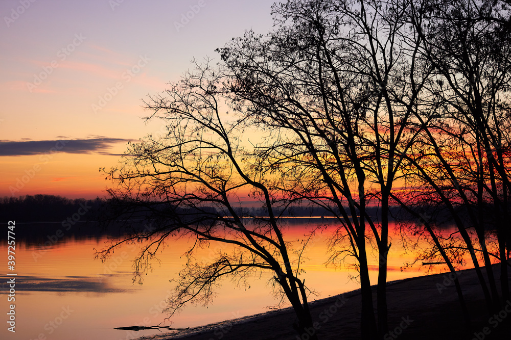 Silhouette of a tree without leaves on the river bank at sunset on autumn evening