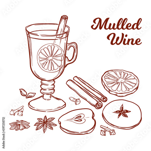 Glass with mulled wine, orange, apple and spices. Hand-drawn vector illustration.