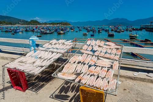 Drying fish in Nha Trang Vietnam photo