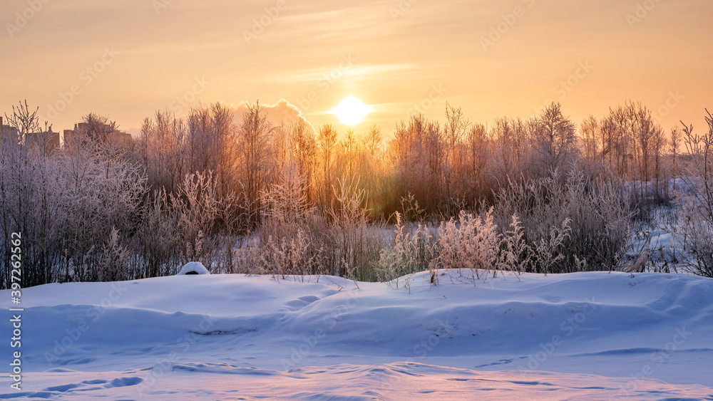 dawn on a snow-covered field amid grass 2