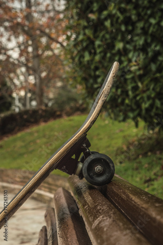 skateboard in a park in autumn