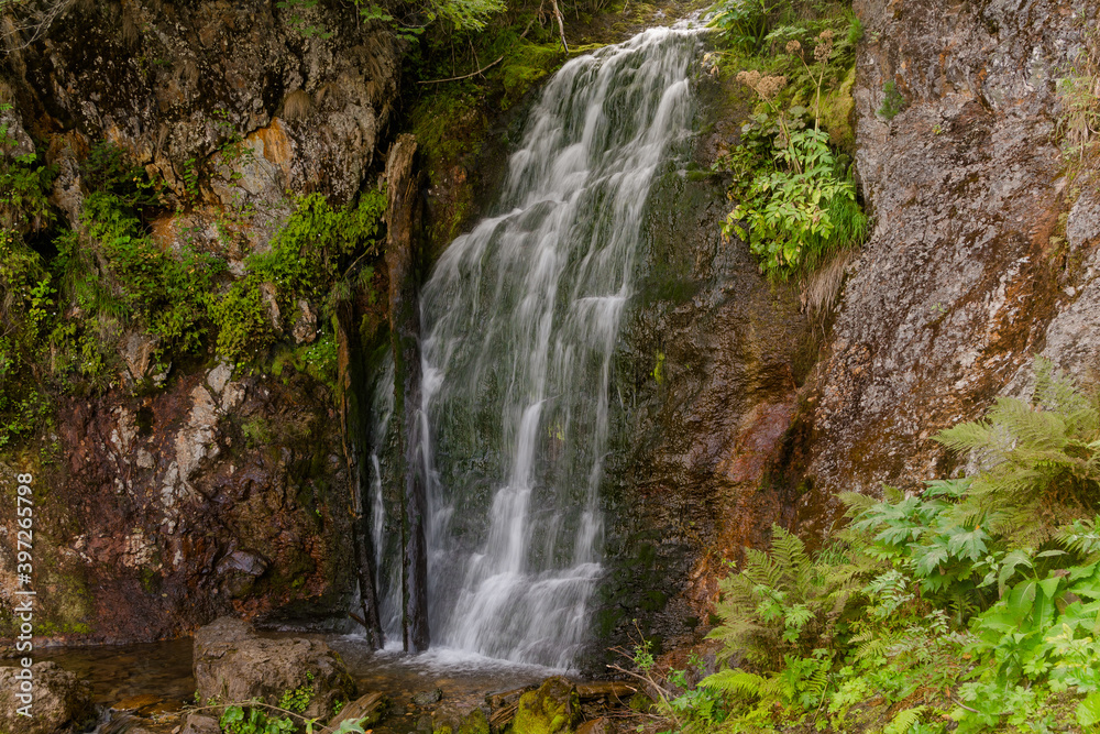 Obraz premium Small cozy waterfall in forest on sunny day. Mountain river falls from cliff onto rocks, rushing stream of water.
