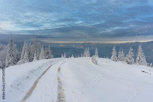 Winter in the Ukrainian Carpathians with beautiful frozen trees and snow © reme80