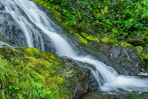 Waterfall among green grass. Mountain stream on mossy boulders in summer rainforest. Alpine cascade of rapid flow