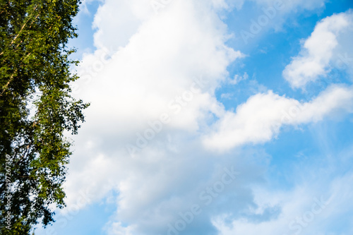 Soft cloud texture on blue sky background © Koirill