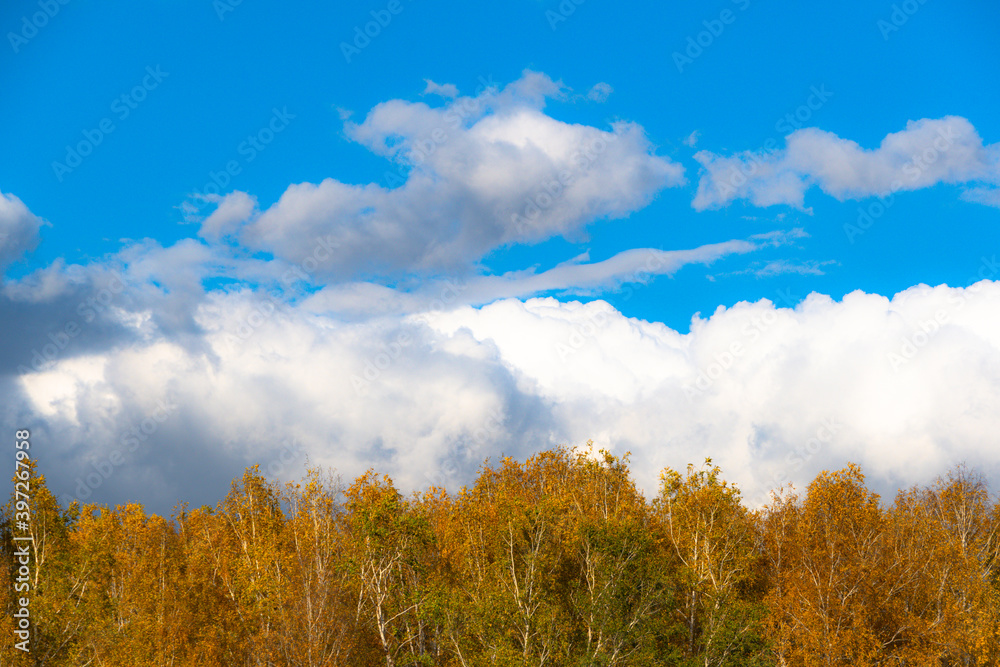 Thick clouds over row of autumn trees